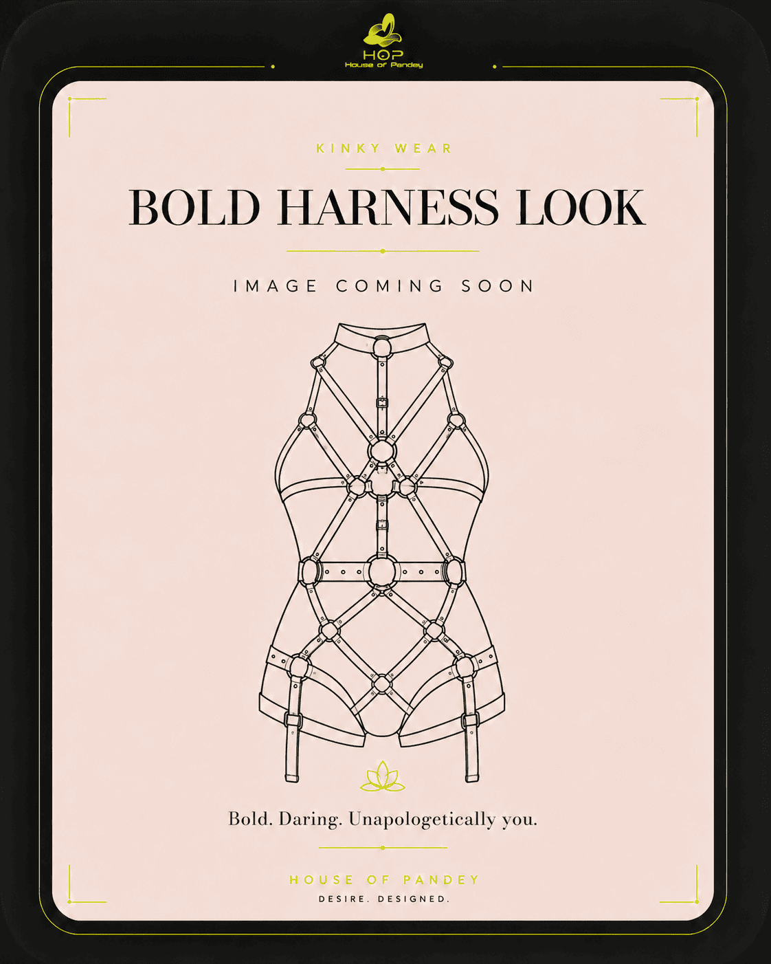 Bold Harness Look