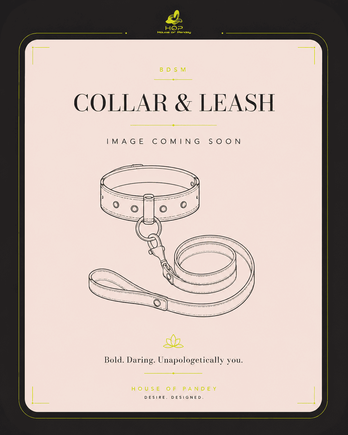 Collar & Leash